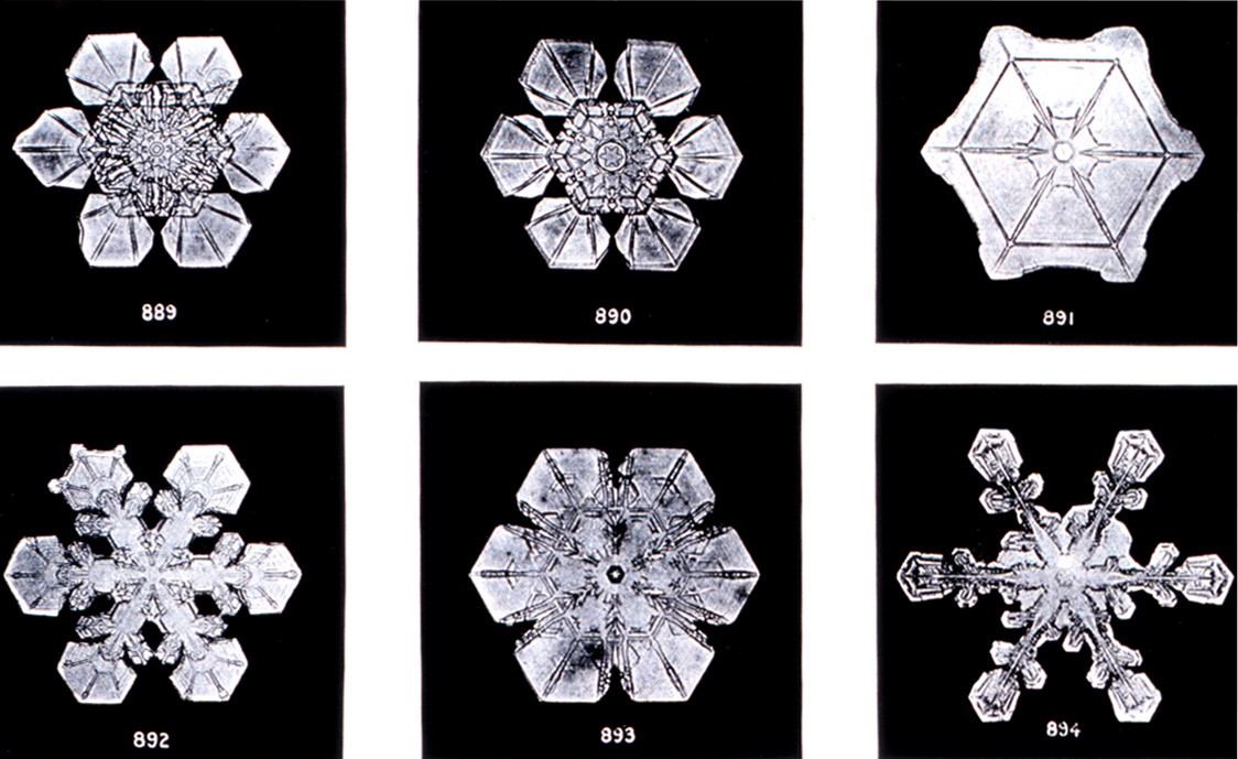 SnowflakesWilsonBentley