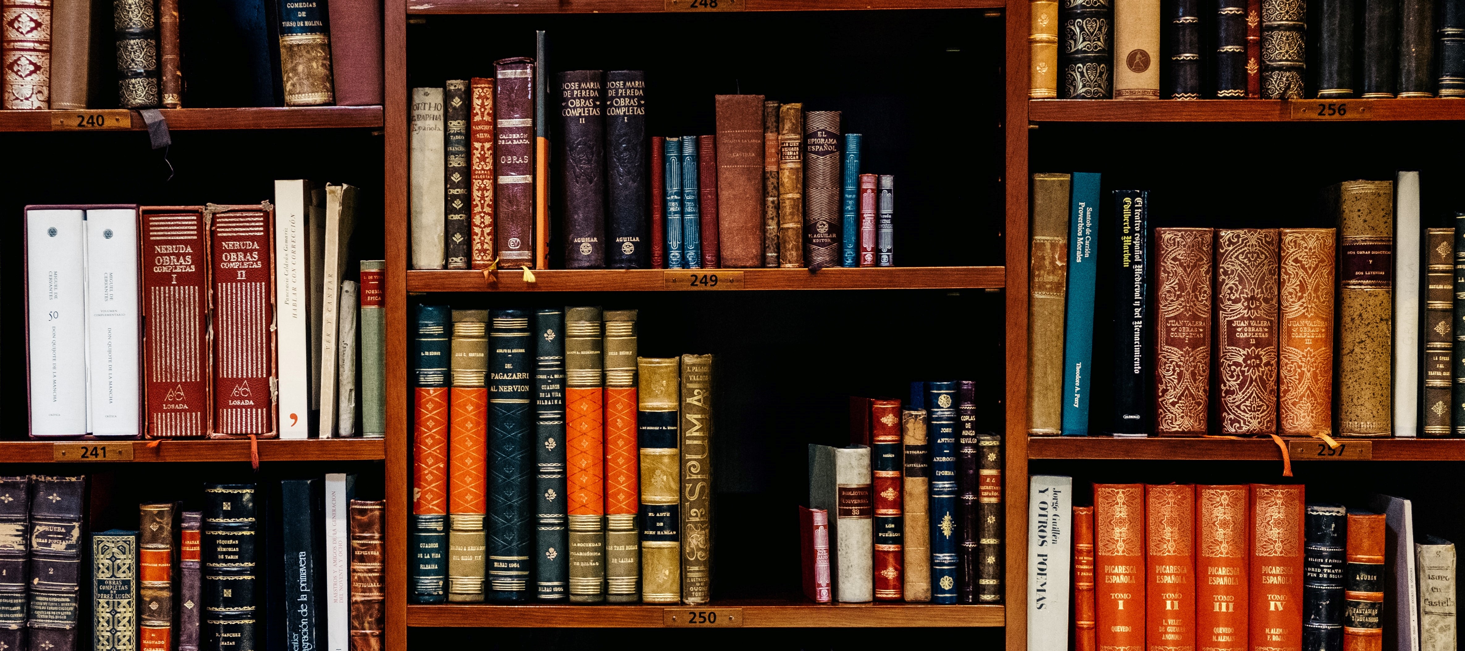 Scientific Publications on ED are increasing.